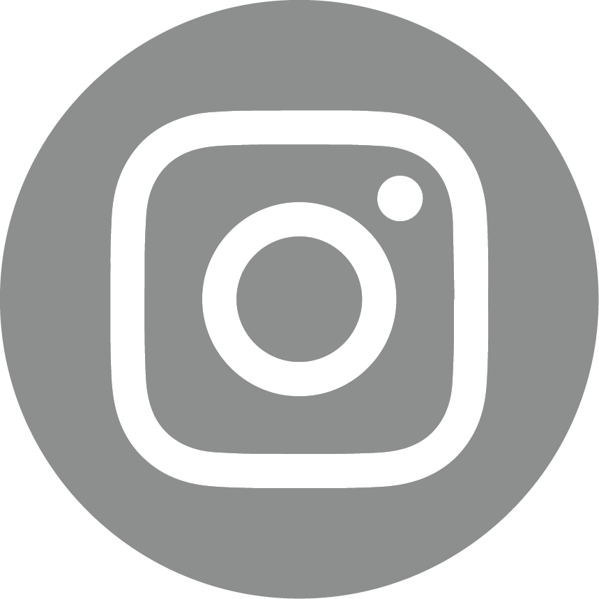 zaran technologies icon digital marketing agency instagram icon