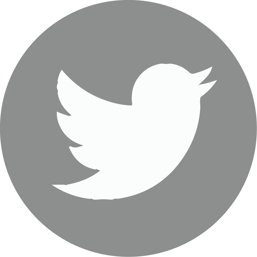 zaran technologies icon digital marketing agency twitter